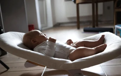 Babybjorn Bouncer Vs Mamaroo