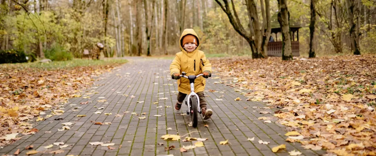 Burley Vs Thule Bike Trailer