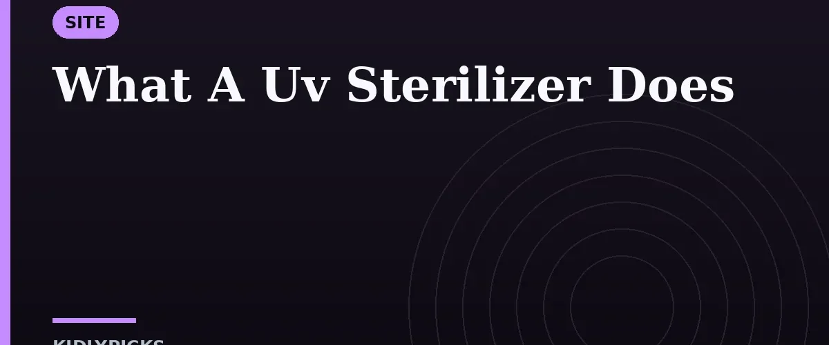 What A Uv Sterilizer Does