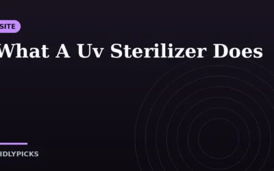 What A Uv Sterilizer Does