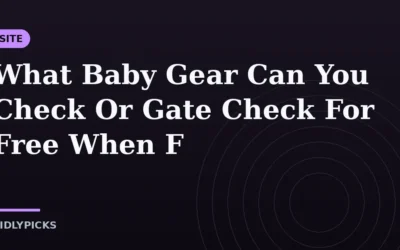 What Baby Gear Can You Check Or Gate Check For Free When F