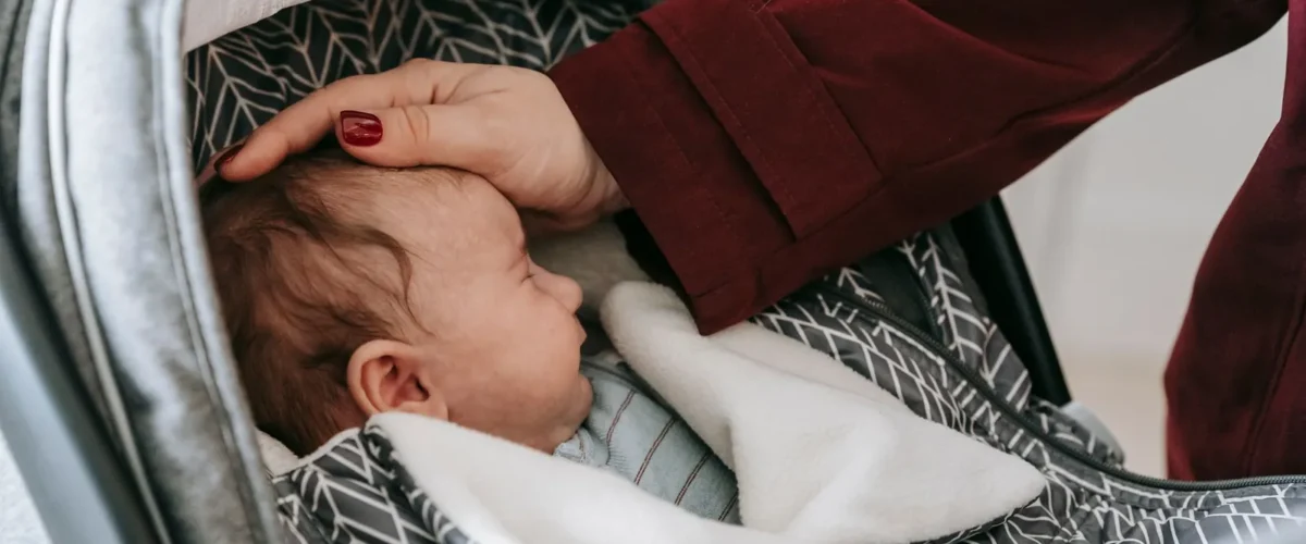 Nuna Pipa Lite Vs Pipa Rx