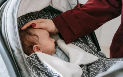 Nuna Pipa Lite Vs Pipa Rx