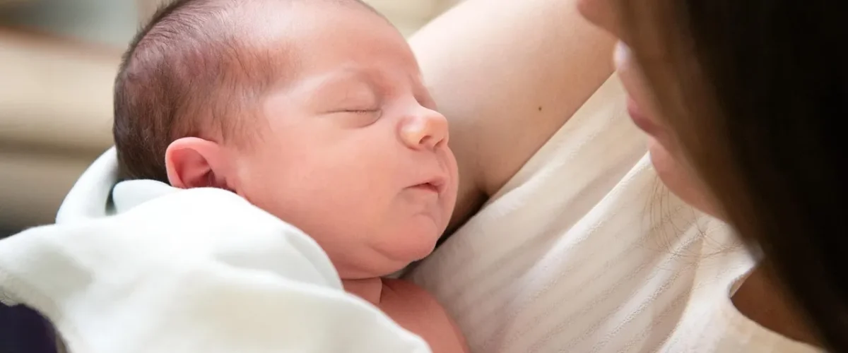 Snuggle Me Organic Vs Boppy Lounger
