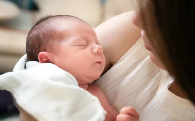 Snuggle Me Organic Vs Boppy Lounger