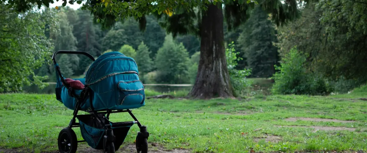 Stokke Tripp Trapp Vs Bugaboo Giraffe