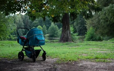 Stokke Tripp Trapp Vs Bugaboo Giraffe