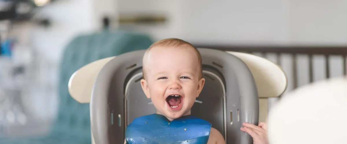 Stokke Tripp Trapp Vs Lalo Chair