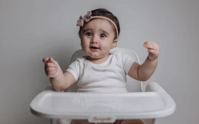 Uppababy Mesa Vs Mesa Max